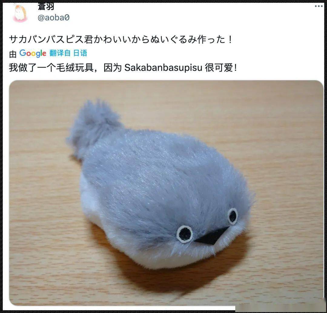 一种灭绝几亿年的"胖头鱼",把自己活成了推特热门的表情包_萨卡班