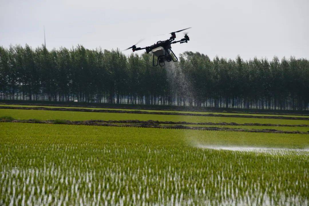 宝山农场有限公司科技赋能夏管引导农业生产向"慧"种田转变_作业_无人