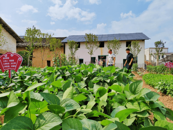 江永县桃川镇:创新"四共"模式 建设爱心"邻菜园"_村民_整治_全镇
