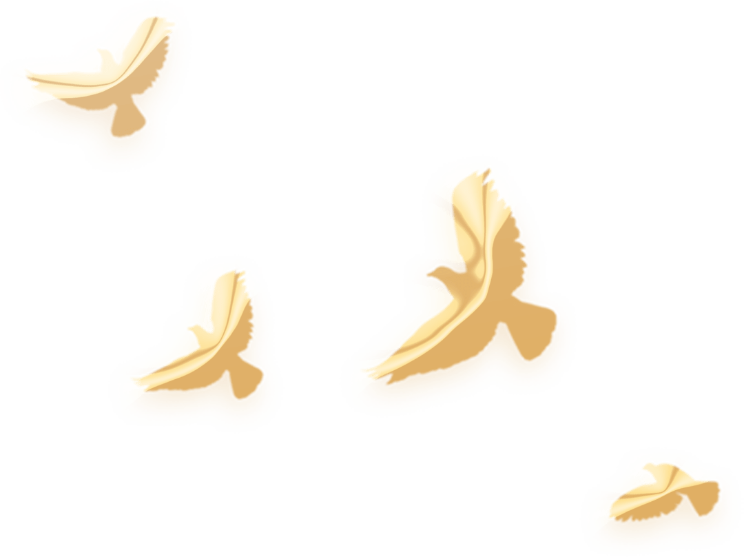 【活动招募】现代京剧《江姐》戏前导赏_剧目_敌人_全国