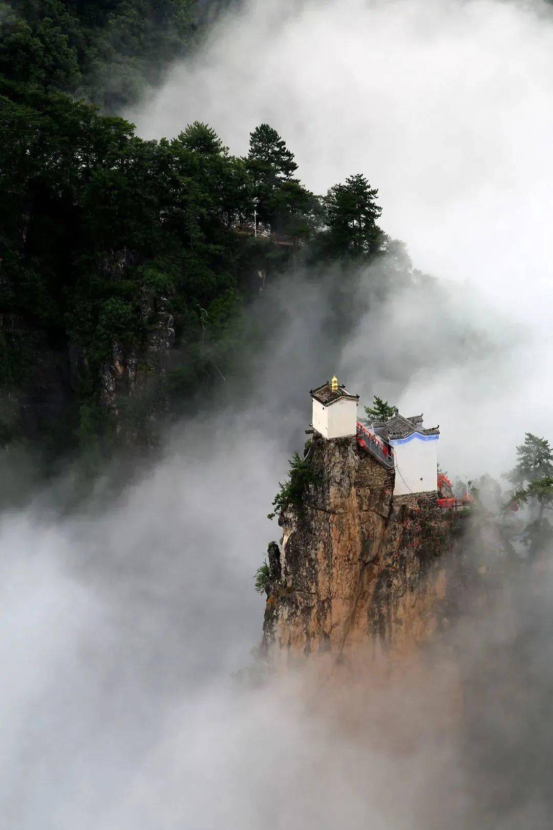 优惠!跟着这份出游攻略,周末一起快乐炫"父"