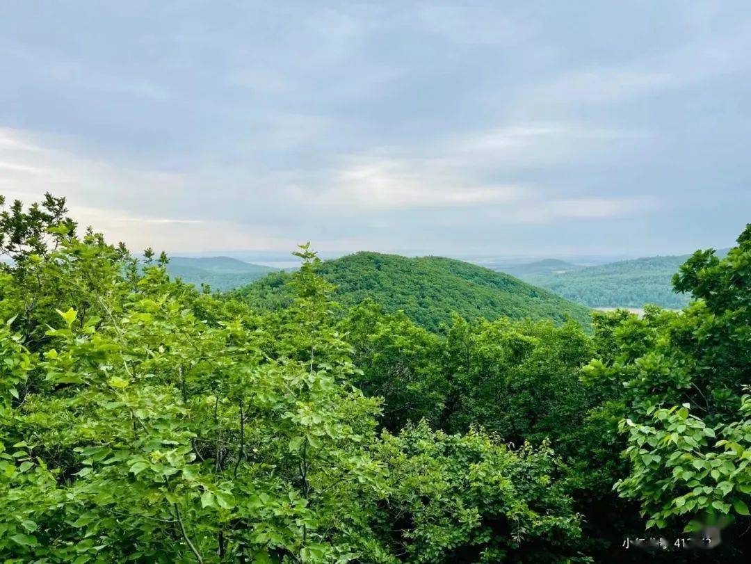 拥抱清凉夏日,长春这些消夏避暑地~太酷啦!_莲花山_营地_旅游