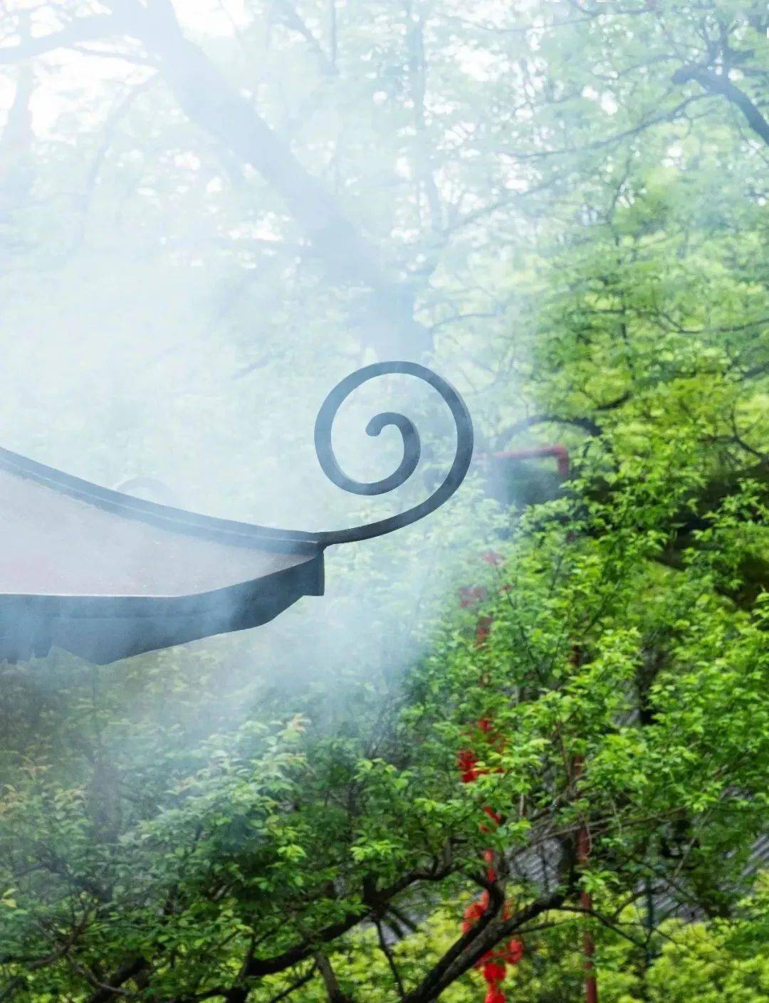 历史|安般禅——太虚大师《中国佛学》(十)_依教_禅宗_众生