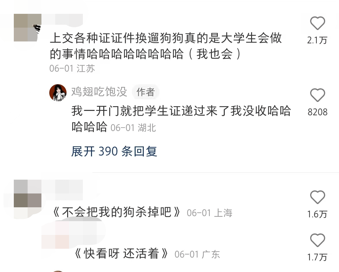 学生狗任务图片