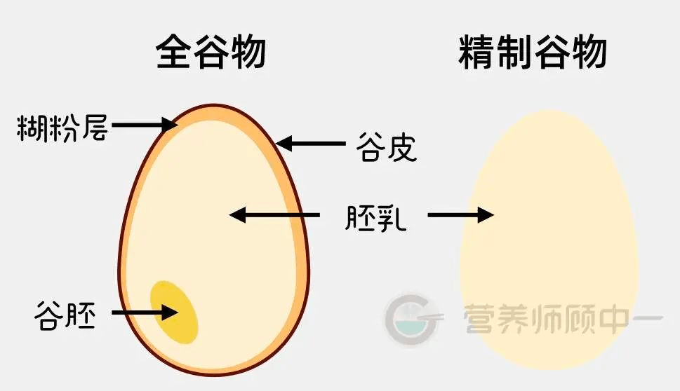 粗粮很好但这5种吃法反伤身！(图2)