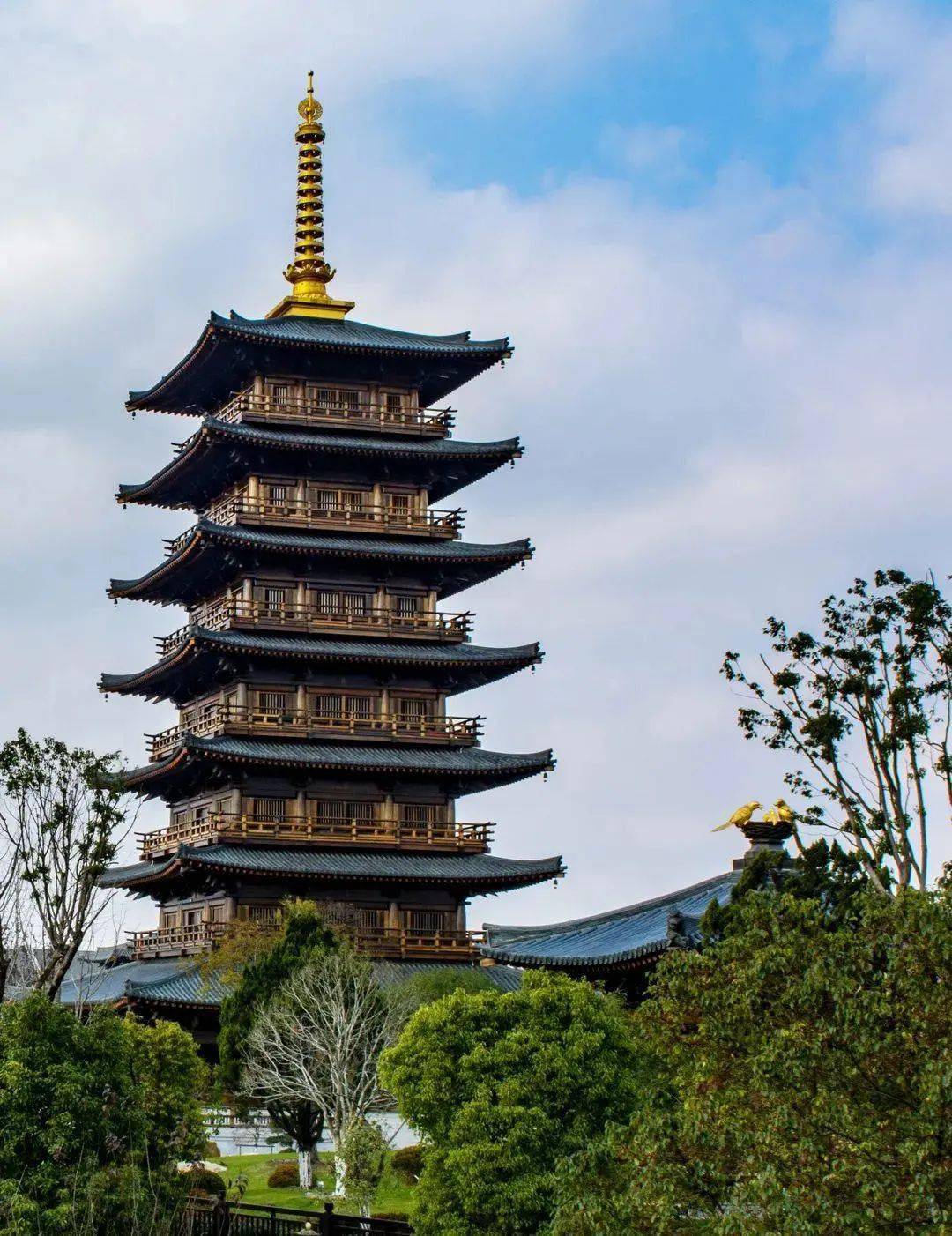 上海最美唐风古建筑——宝山寺二期只园对公众开放啦!