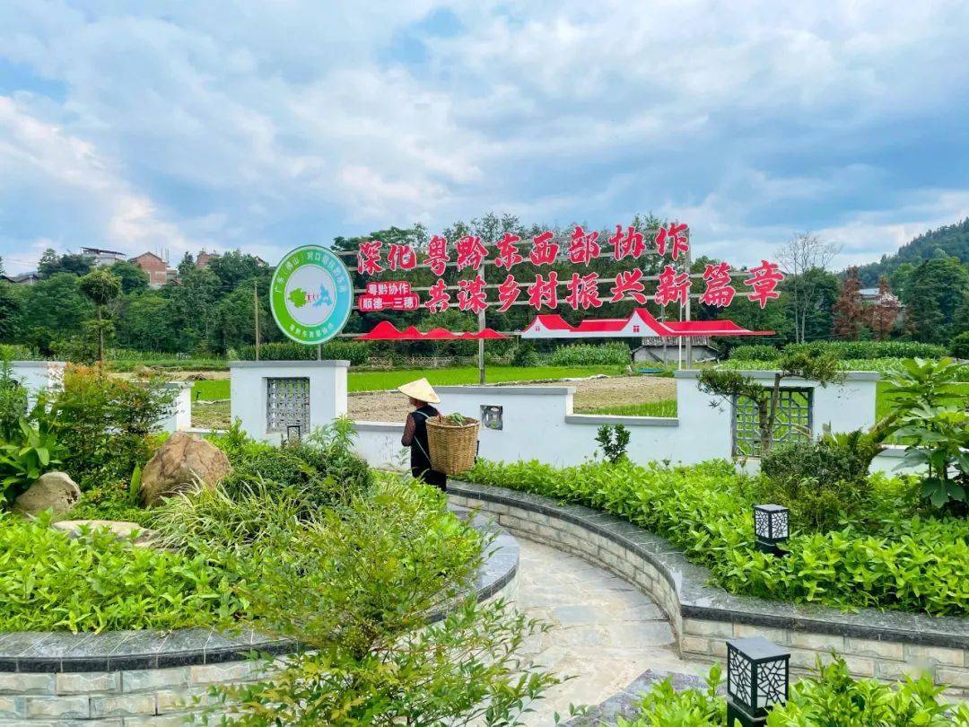 2021年,顺德对口帮扶三穗县,彷佛为柑子院村注入了"活水".