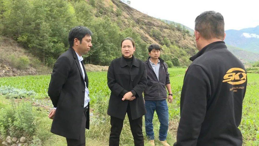 【玉龙焦点】和秋珍到西部乡镇调研指导工作_建设_整改_耕地