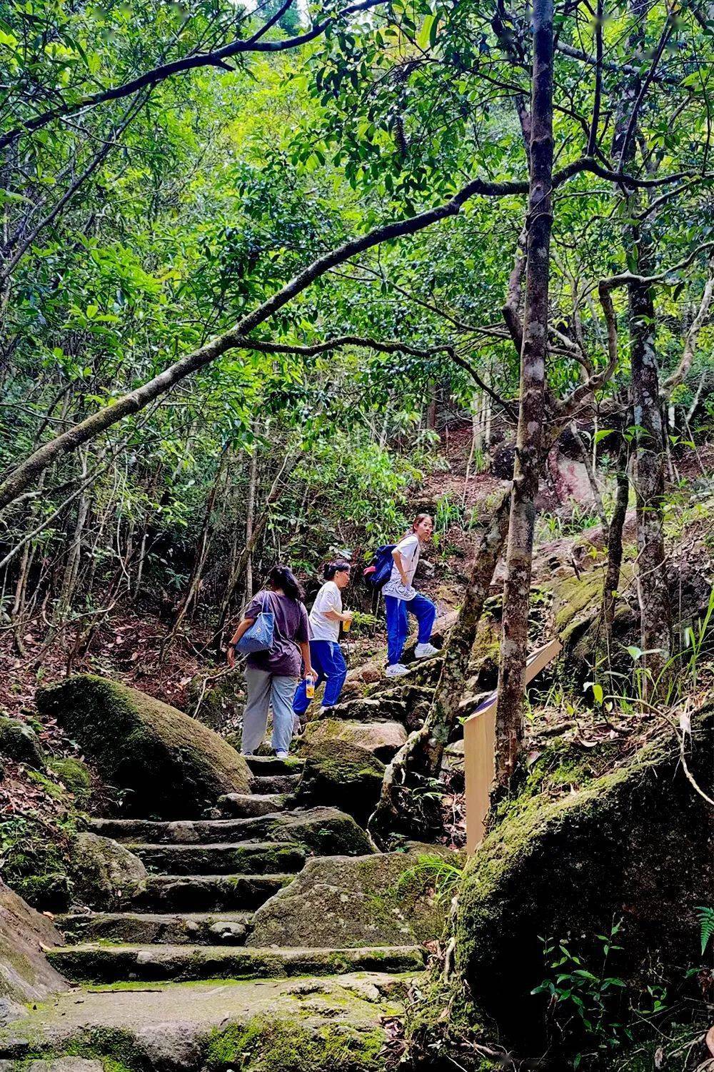 高州仙人洞景区对应届高考生免门票,可凭"准考证"入景区_青春_压力_大