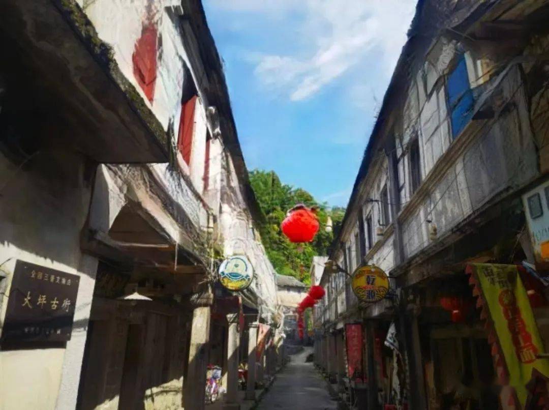 大坪乡:看茶海明珠,品颖昌肉桂_安溪_老人_茶叶