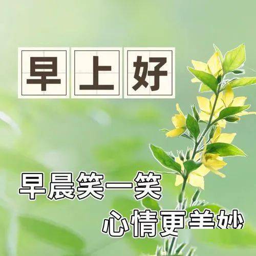 暖心的早上好短句，早安问候精句子（最暖心的早上问候）