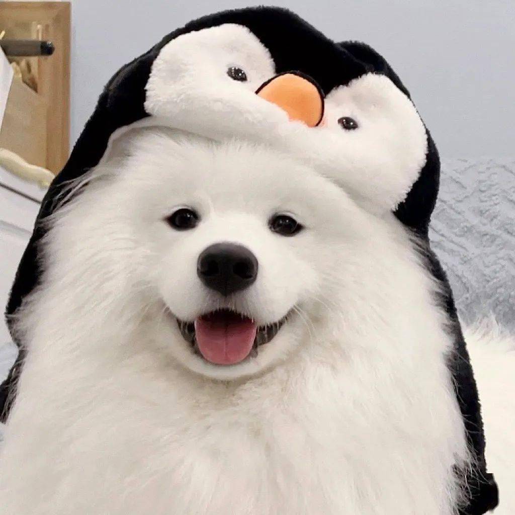 头像| 神明也会心动的微信头像_耳朵_什么_嘴脸