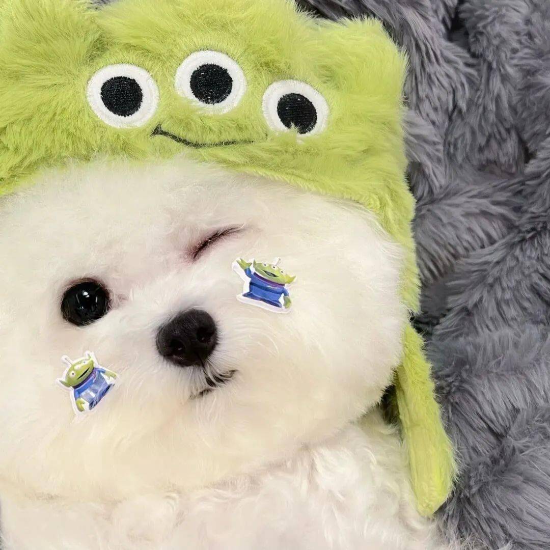 歌单可以网易云音乐搜索sunny号my stupid heart - w