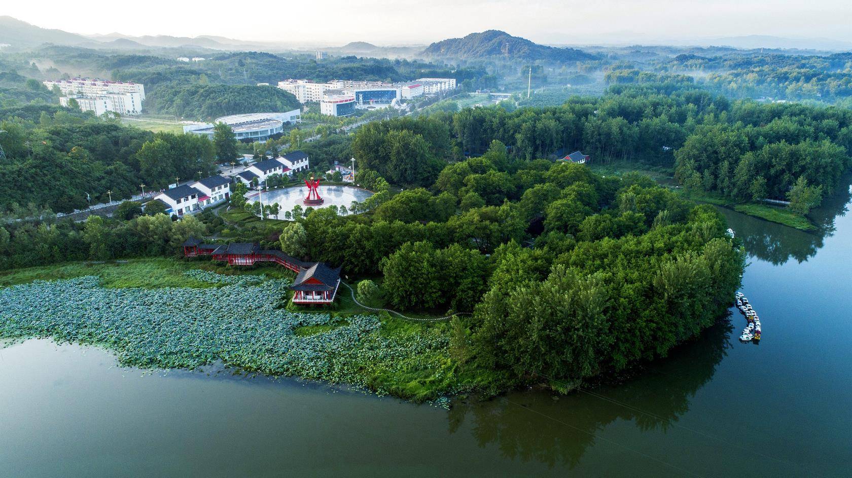 6月20日,记者漫步在草木葱茏的信阳市平桥区两河口国家湿地公园,一呼