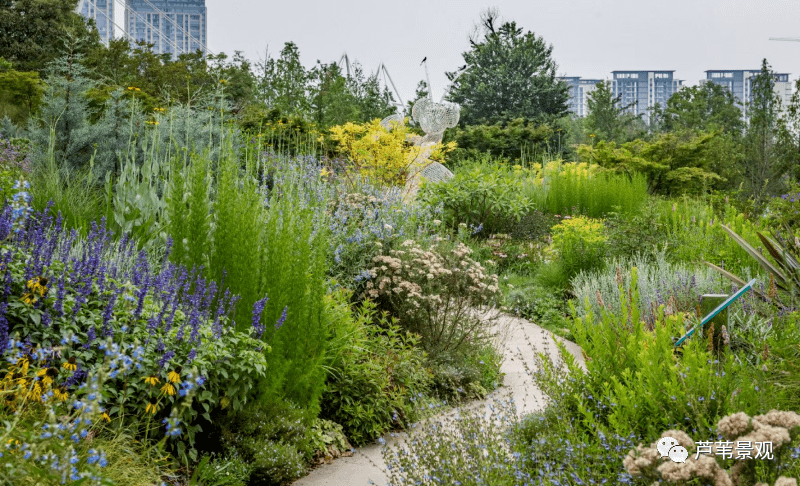 寻麓君花园之荒野花园建造深度解读~_品种_效果_色调