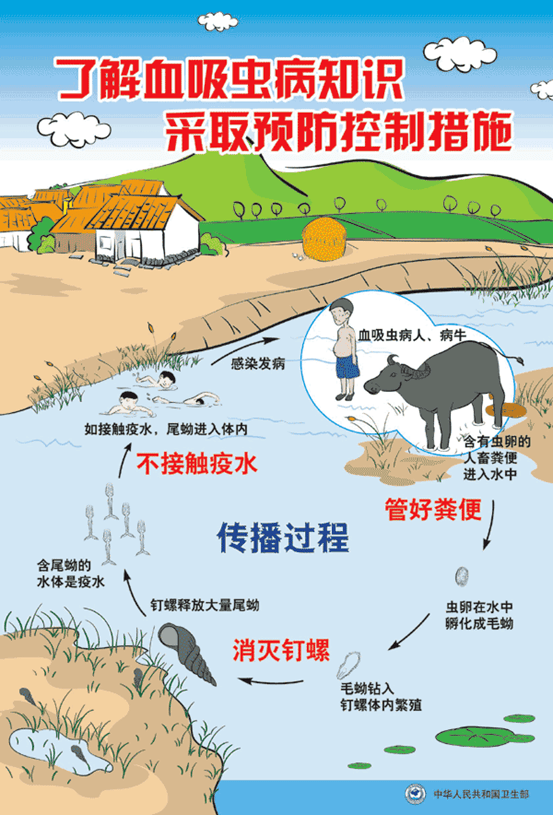 汛期来临,家畜血吸虫病防控要加强!_生活_重点_生产