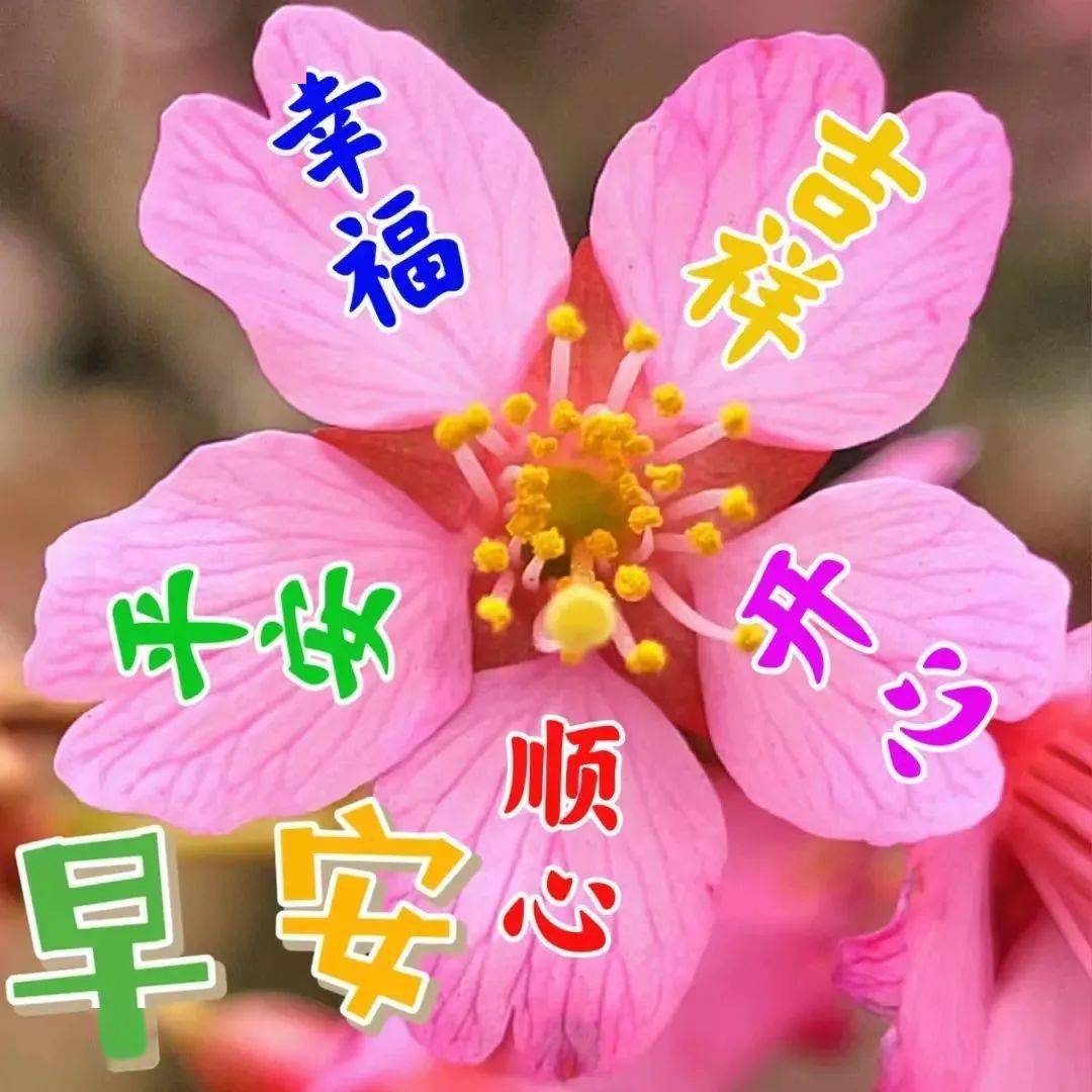 今日最新早上好表情包图片大全,问候祝福,相互牵挂_星期六_生活_朋友