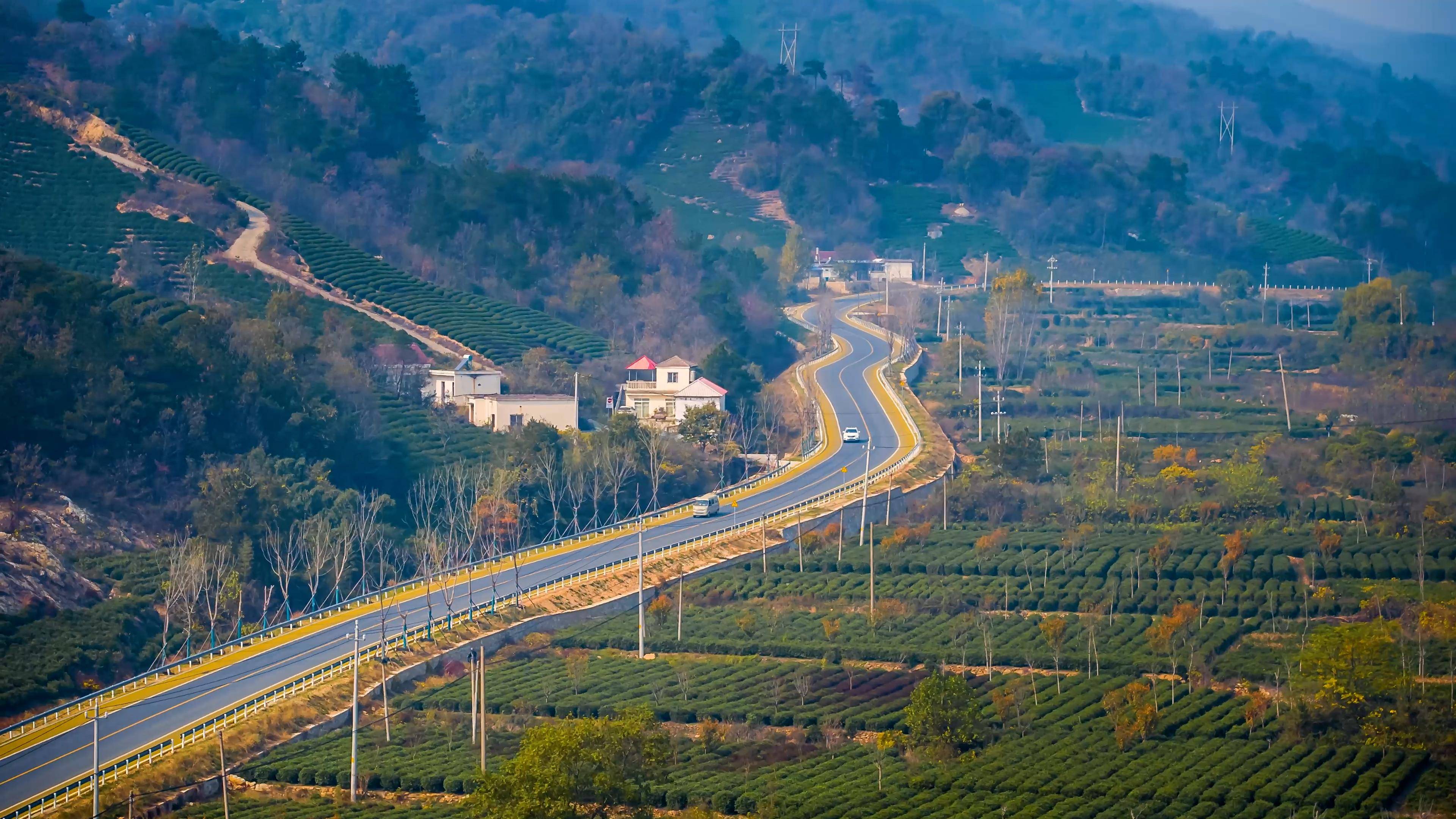 愿景为旅何季东图片图片