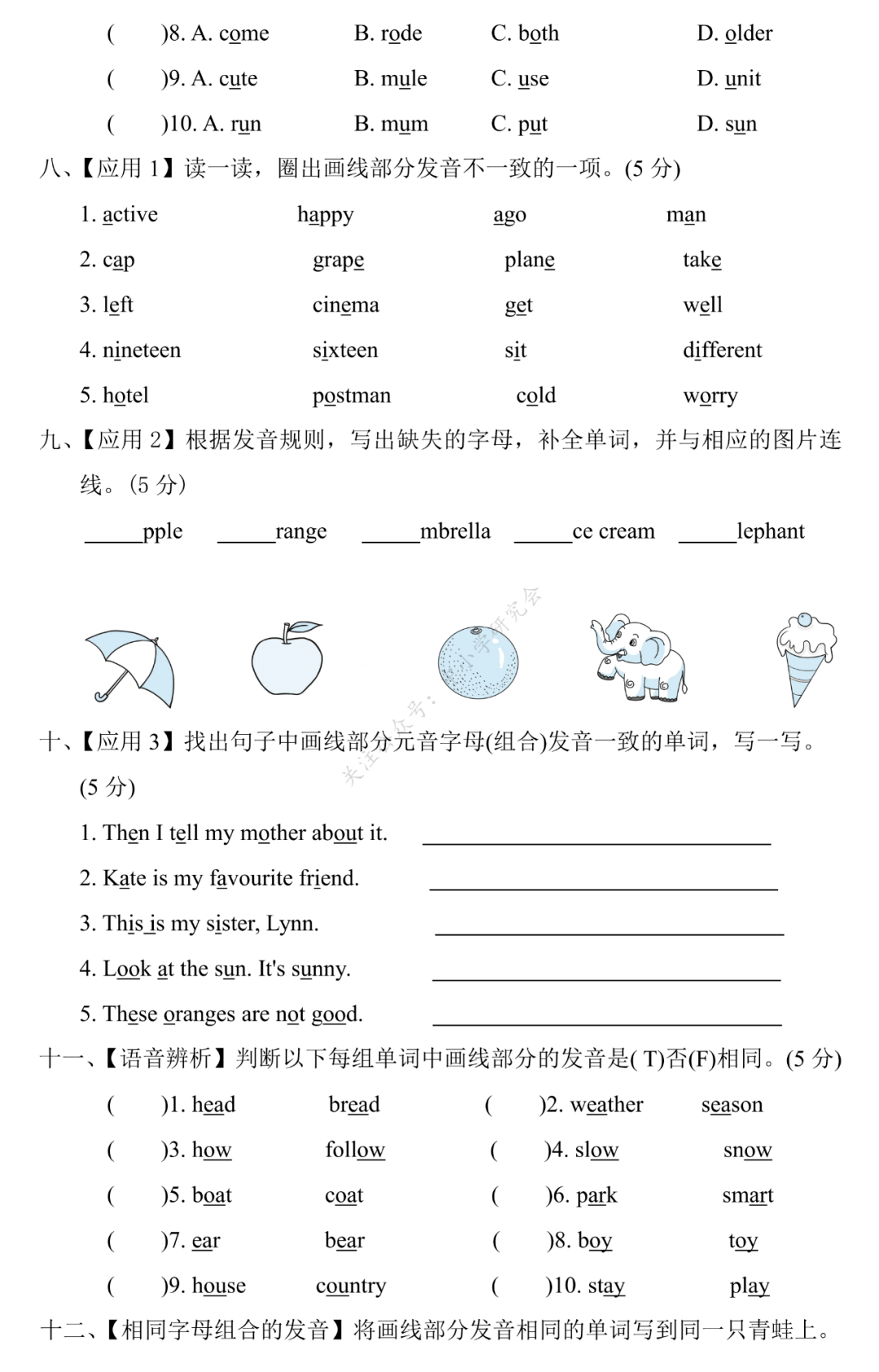 【人教版(PEP)】英语小升初总复习 单选题专项复习（含答案）(人教PEP版英语六年级（下）小升初专项复习卷7套)