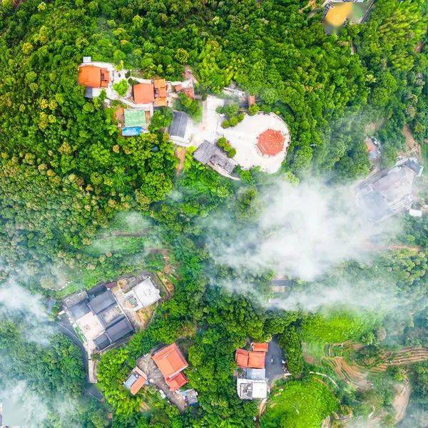 《海峡摄影》读者俱乐部年赛6月22日作品选登_参赛_微信_进行