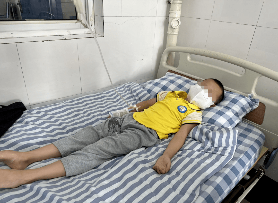 患儿_突发_陈晓枫