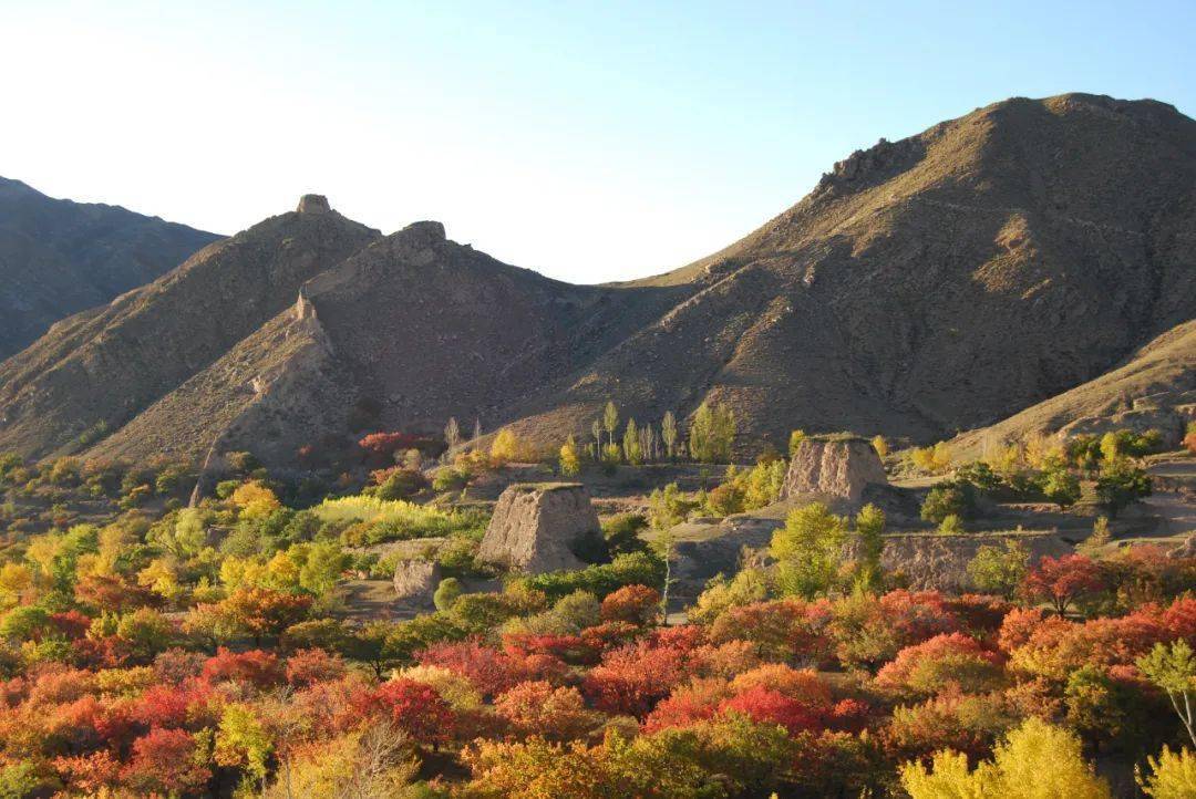 塞北福城 美丽阳高——"小八达岭"守口堡_杏花_古长城_杏林