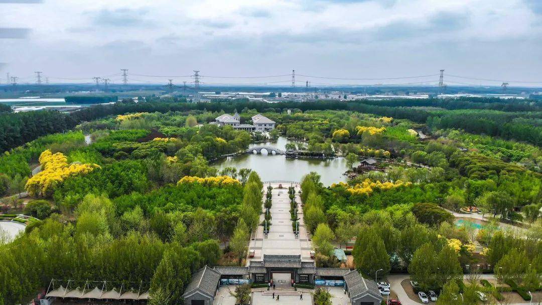 津北森林公园 来自搜狐网