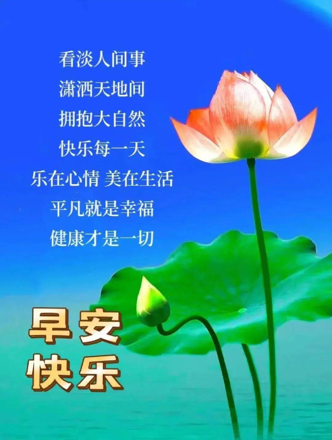 早上好惜缘带字图片图片