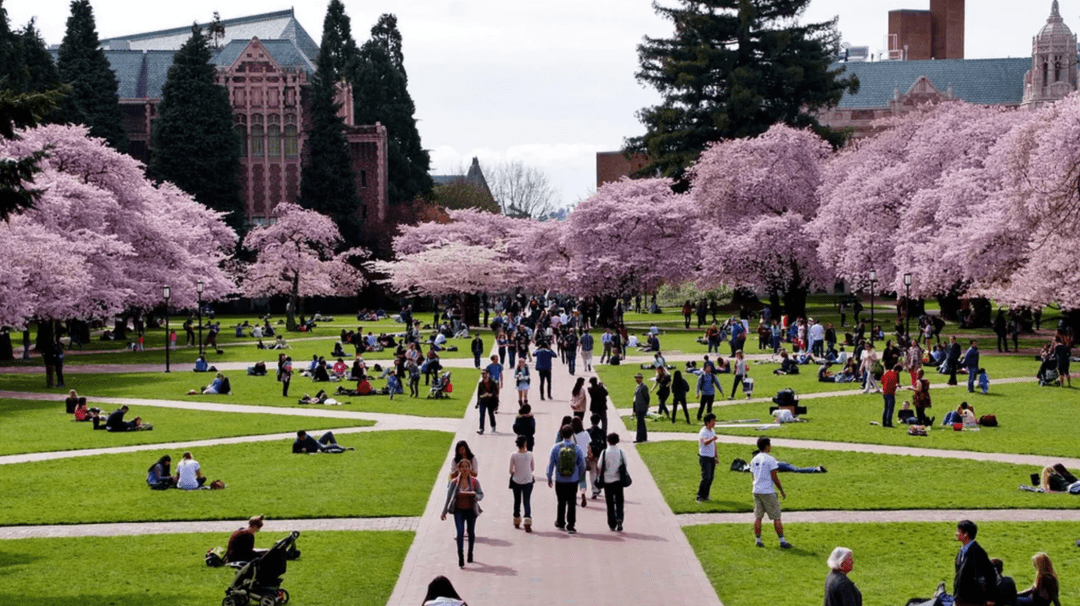 university of washington華盛頓大學09德克薩斯農工大學是頂尖的公立