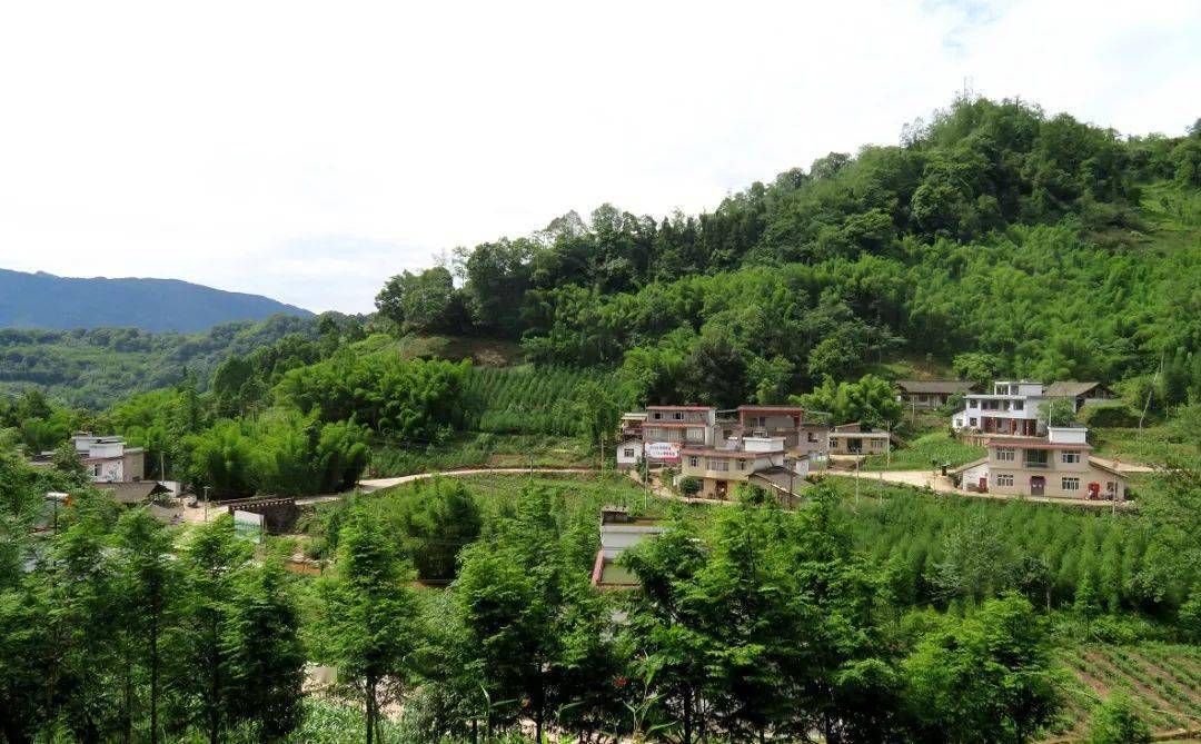浓浓粽香满山村 助力振兴见真情——市水利局联系帮扶雨城区周公山镇