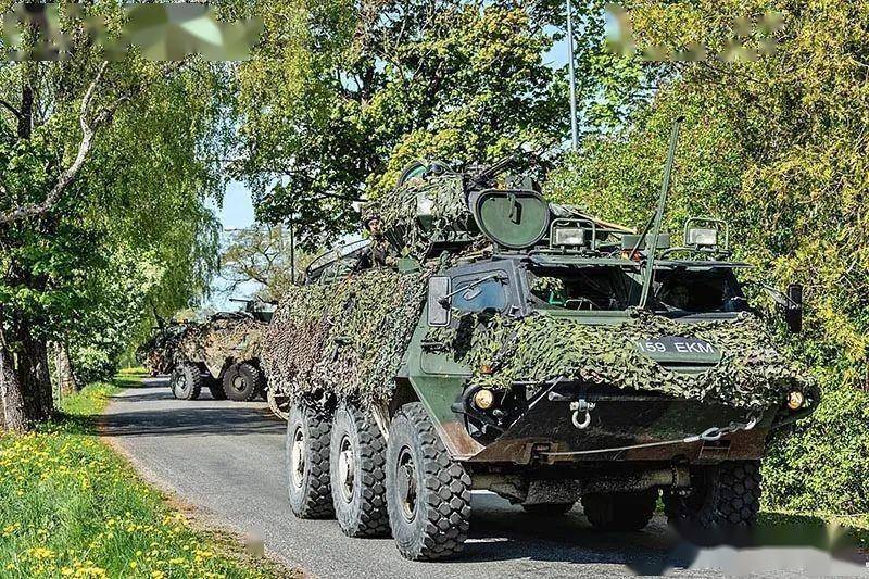 外军演习现场(3),伪装包和长布条_意大利_轮式装甲车_标枪