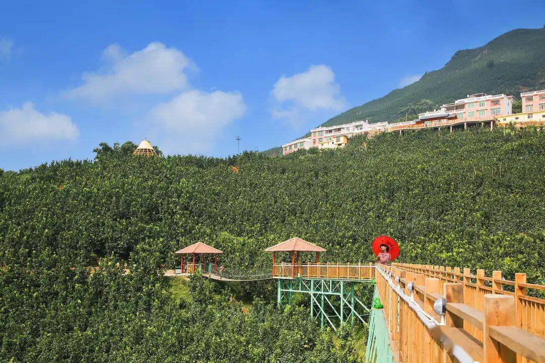 漳州三平风景区的门票图片
