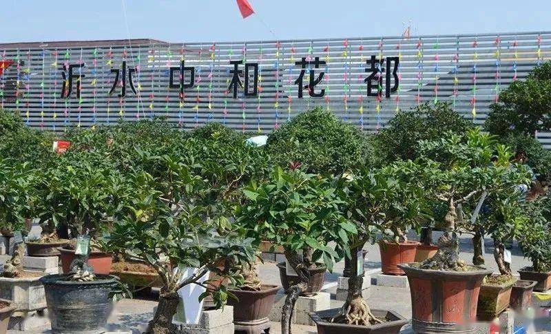 沂水县龙家圈街道:发展绿色旅游 做活生态文章_沂河_景区_水库