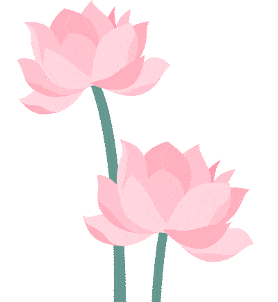 白莲_广昌_莲花