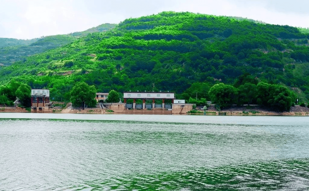 向云端,礼县的风带你漫享夏日风光_香山_夏天_草原