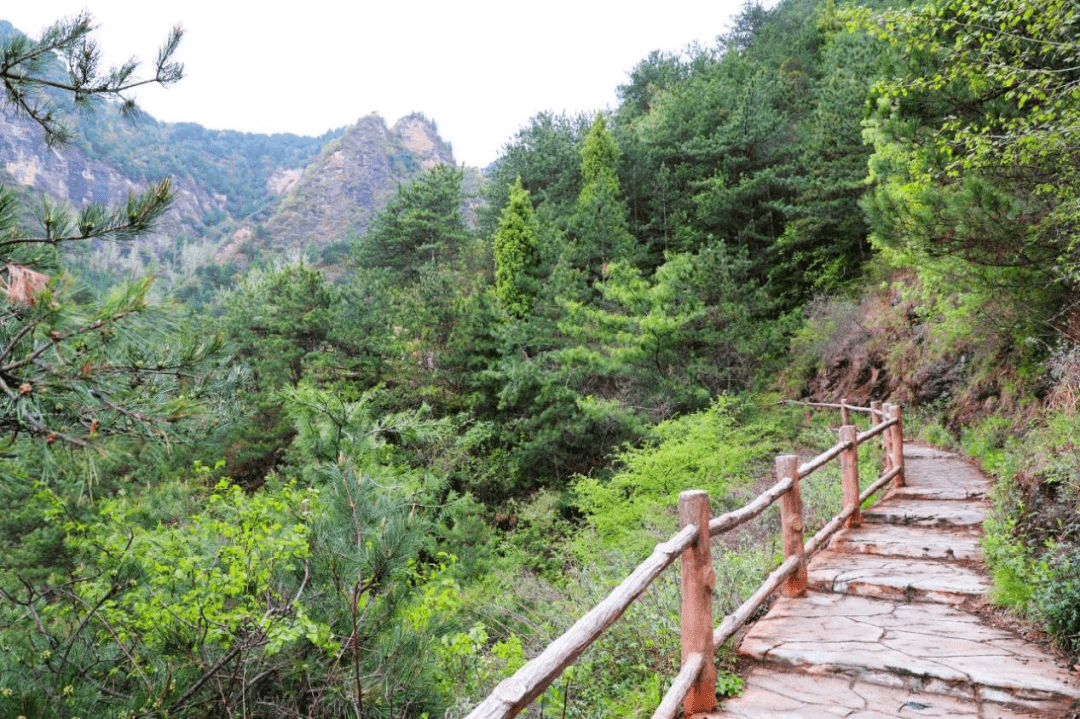 向云端,礼县的风带你漫享夏日风光_香山_夏天_草原