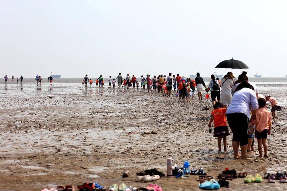 会议通知 | 山东无棣:到贝壳堤岛赶海拾贝_交际_无棣县_接待