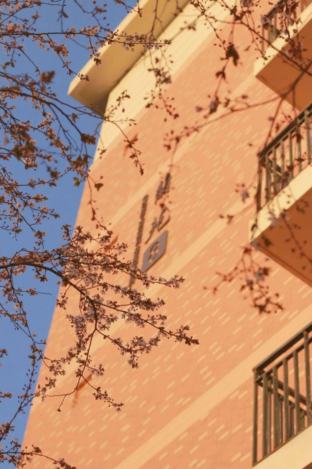 王珏_红色_蓝色