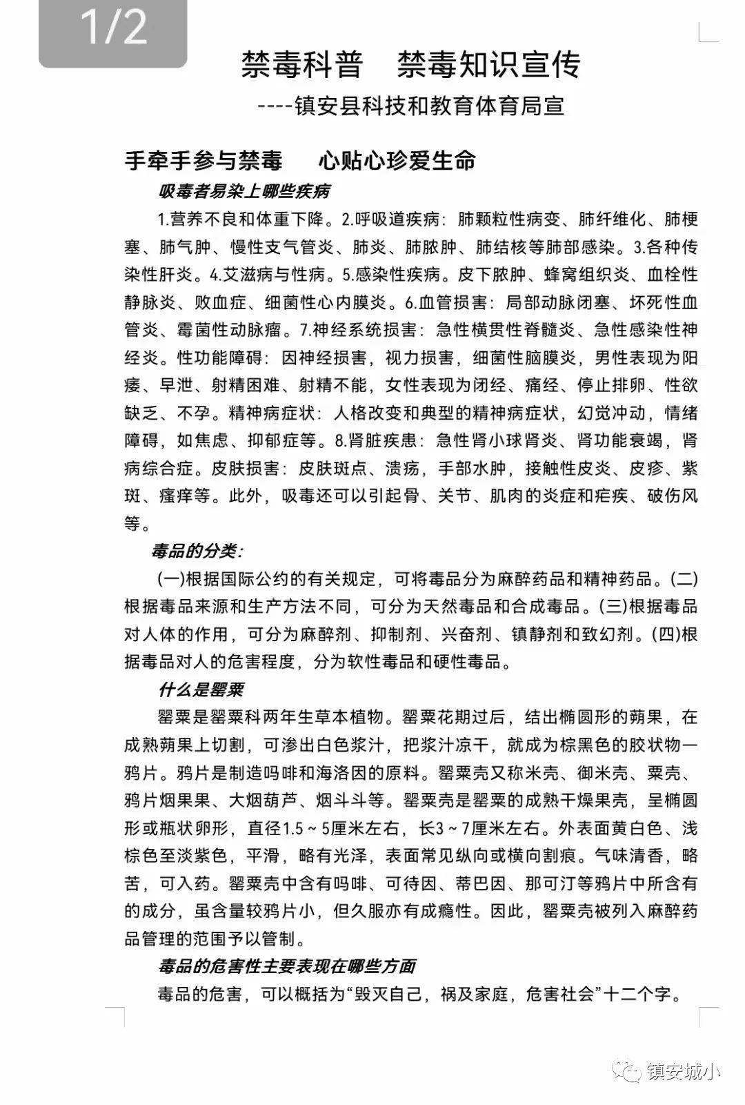 远离毒品 珍爱生命—镇安县城关小学国际禁毒日主题教育活动_依赖性