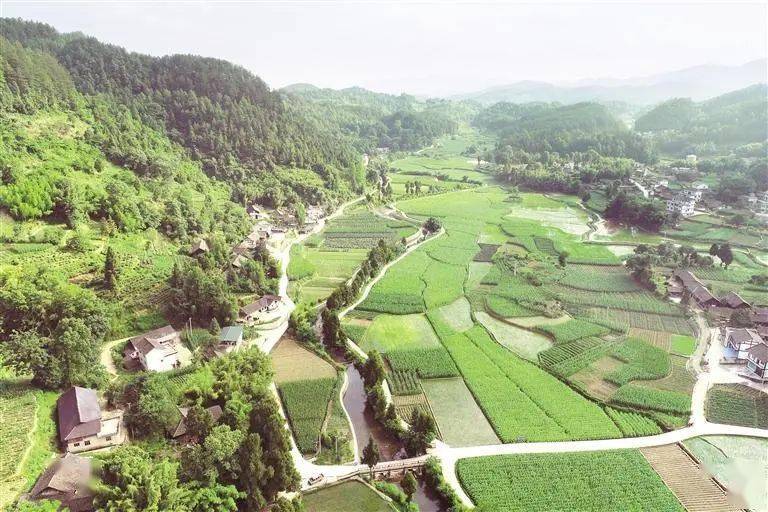 贵州日报专版刊发|守好良田沃土 推动绿色发展_耕地_保护_土地