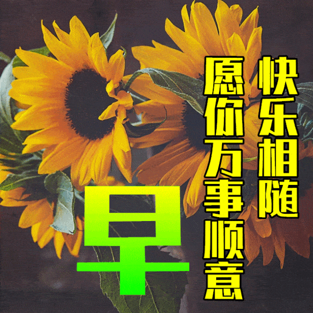 早上的微笑,是幸福的开始,每天的开心,是健康的保证.