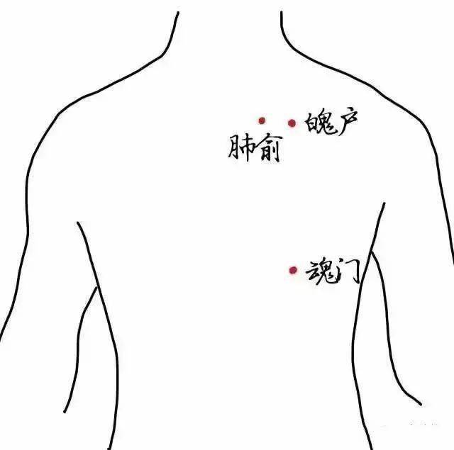 殿堂供燈丨神燈朗長庚,離羅吐明輝……——△點擊上方 添加關注 查看