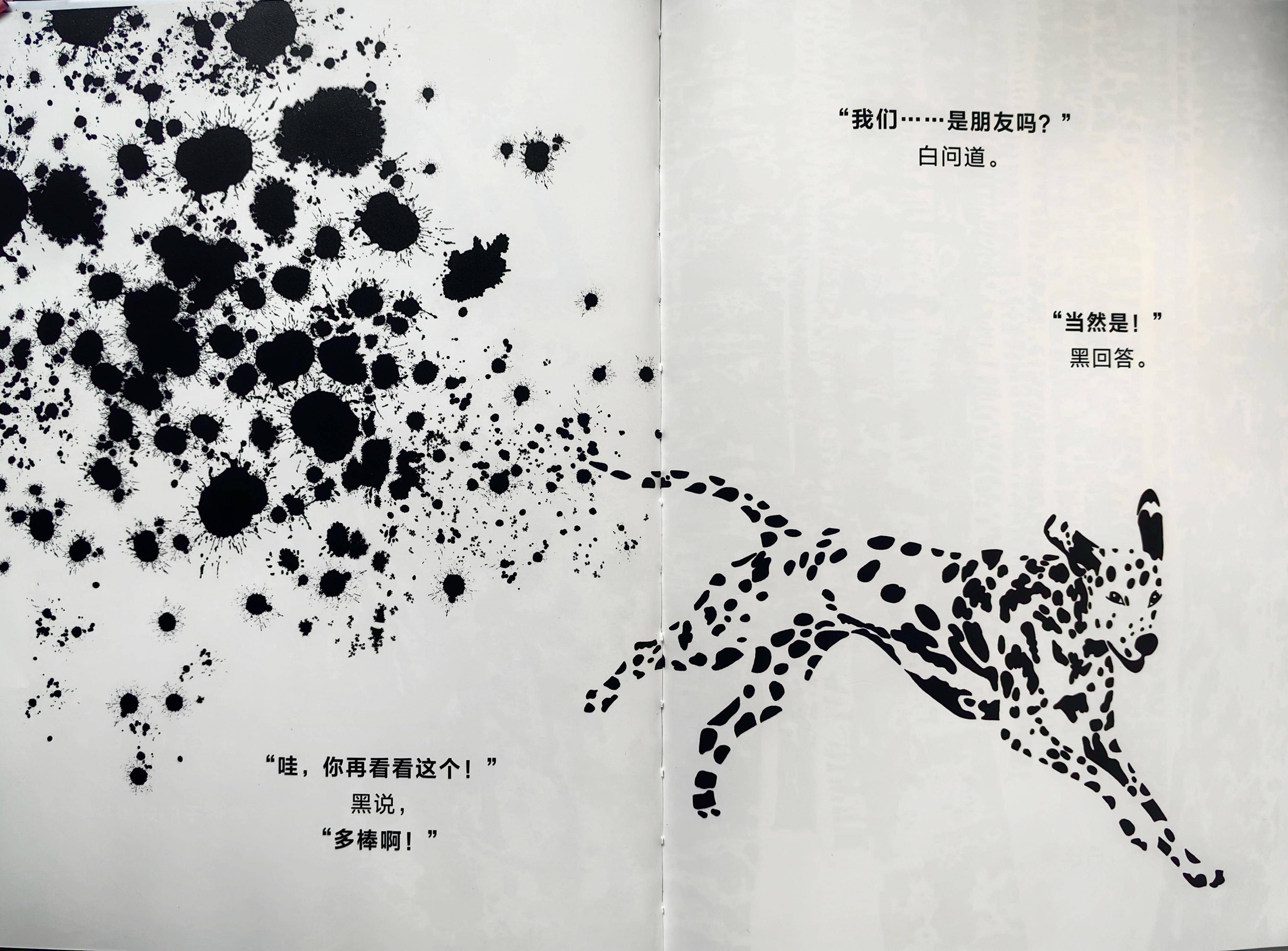 《黑与白》:关于如何对待差异的艺术哲理绘本_故事_画面_孩子