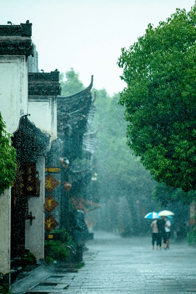 夏天的雨