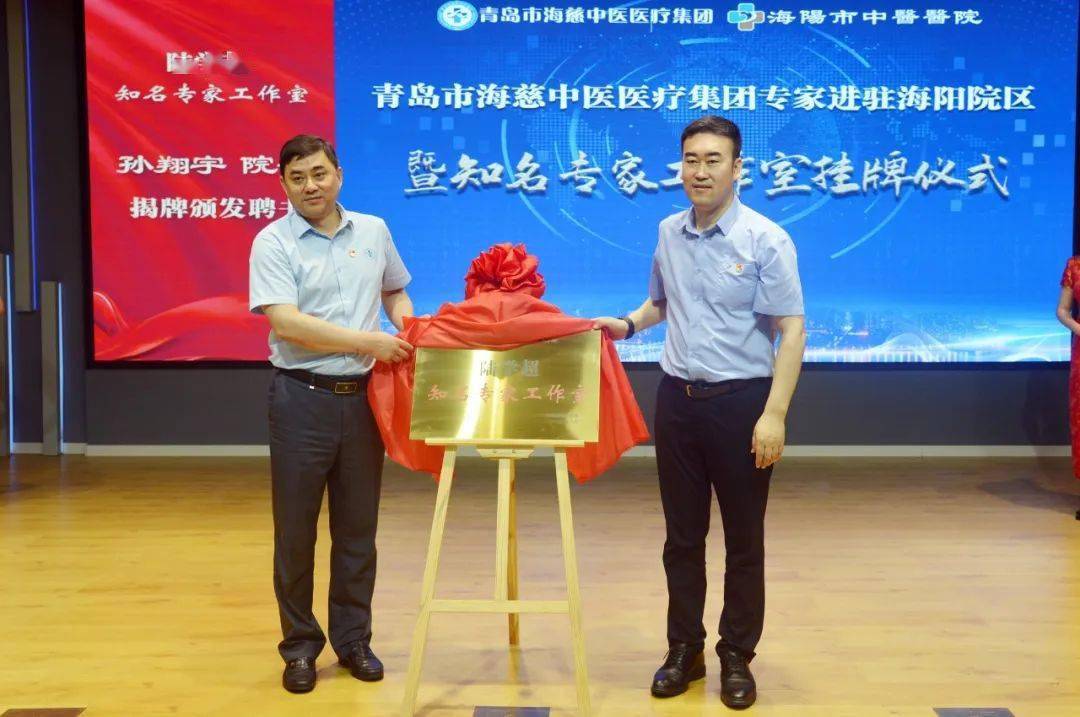 局长赵中国为王燕青知名专家工作室揭牌海阳市副市长倪永妮为郑心知名