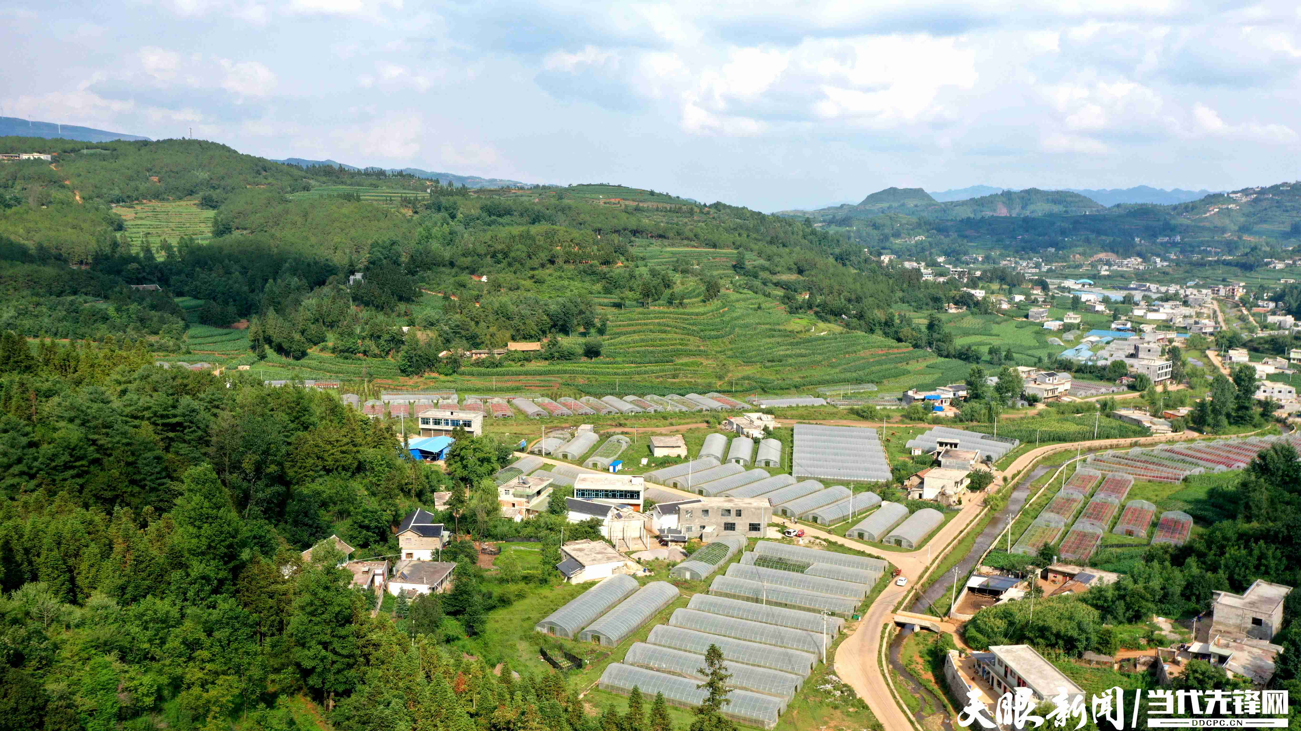 【天眼影像】威宁盐仓镇:大棚蔬菜丰收在望_种植_西红柿_自治县