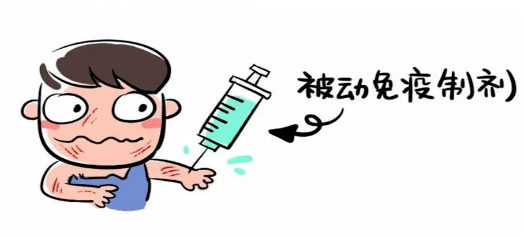 被犬咬伤,狂犬疫苗和狂犬蛋白该怎么选?_接种_抗体_皮肤