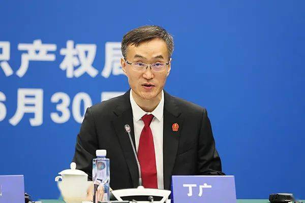 最高人民法院民事审判第三庭副庭长 丁广宇高质量发展是全面建设