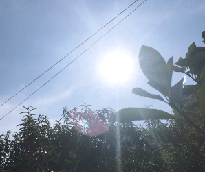 上海的助孕机构（一口气喝矿泉水视频）喝矿泉水的视频，