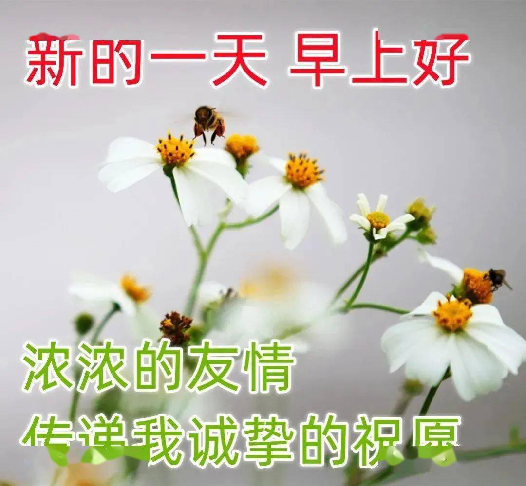 问候表情包_搞笑问候表情包_问候表情包图片大全集